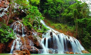 Hutan Tanah Daru