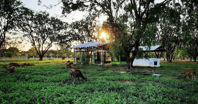 Taman Rusa Bumi Patra