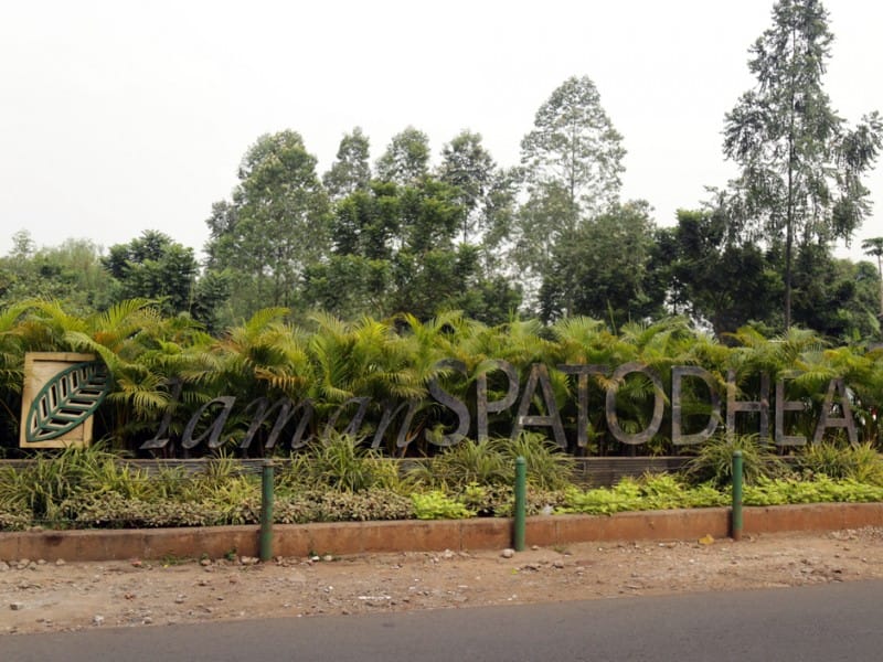 Taman Spathodea