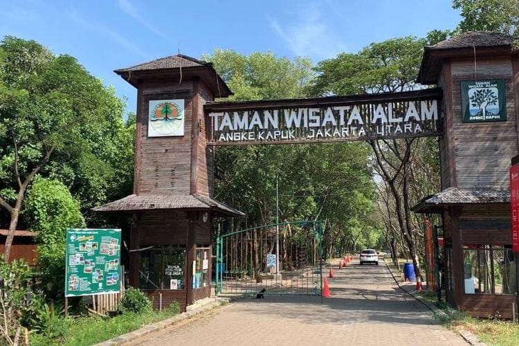 Tempat Wisata di Jakarta Yang Lagi Hits Untuk Liburan Paling Seru 9 | Molly Wisata 2025 Taman Wisata Alam Mangrove