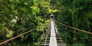 Tempat Wisata di Sumatera Paling Recomended 34 | Molly Wisata 2025 Tangkahan