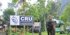 Tempat Wisata Di Langkat Paling Hits Dan Terbaru 7 | Molly Wisata 2025 Tangkahan CRU