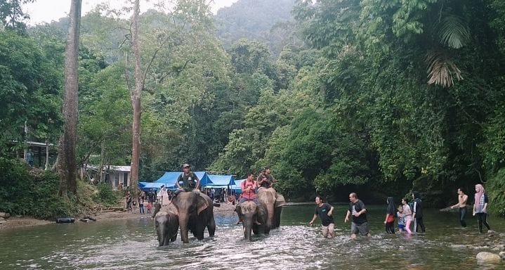 Tempat Wisata Di Sumatera Utara Terbaru & Terhits 27 | Molly Wisata 2025 Tangkahan The Hidden Paradise