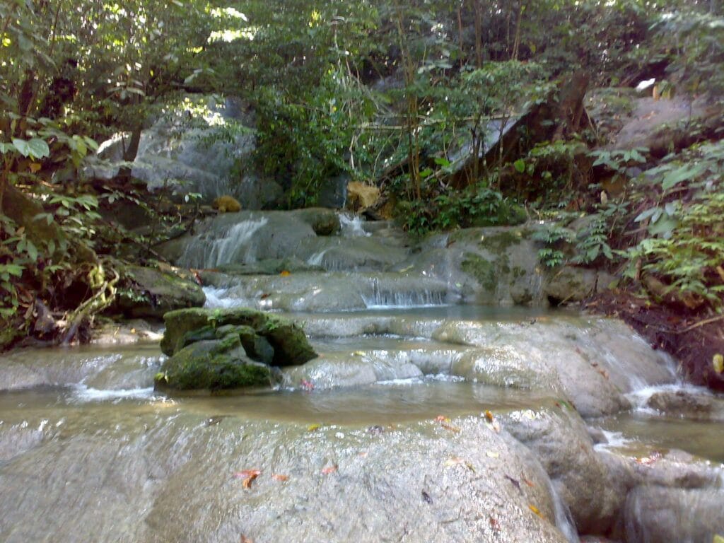 Tangsar Alur Biak