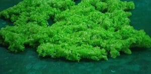 Oleh-oleh Khas Cirebon Terkenal dan Favorit Wisatawan, Apa Saja? 8 | Molly Wisata 2025 Tape Ketan Cirebon