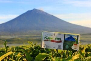 Oleh-oleh Khas Jambi Terfavorit dan Enak, Wajib Coba! 11 | Molly Wisata 2025 Teh Kayu Aro