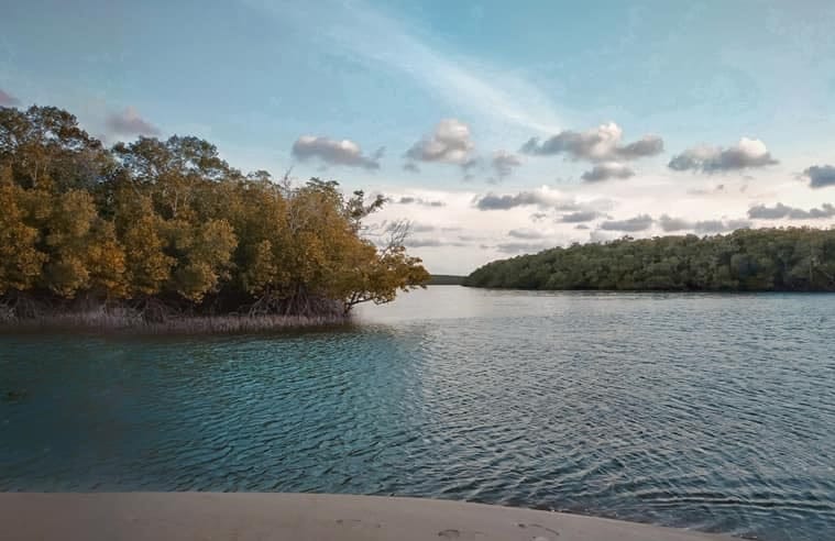 Teluk Maubesi