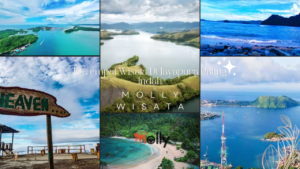 Tempat Wisata Di Jayapura | Molly Wisata 2024