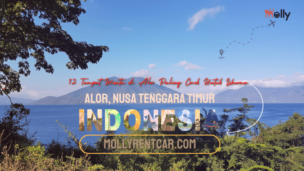 Tempat Wisata di Alor | Molly Wisata 2025
