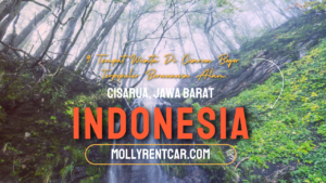 Tempat Wisata di Cisarua | Molly Wisata 2024