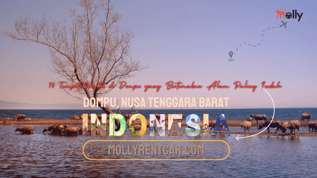 10 Tempat Wisata di Dompu yang Bertemakan Alam Paling Indah