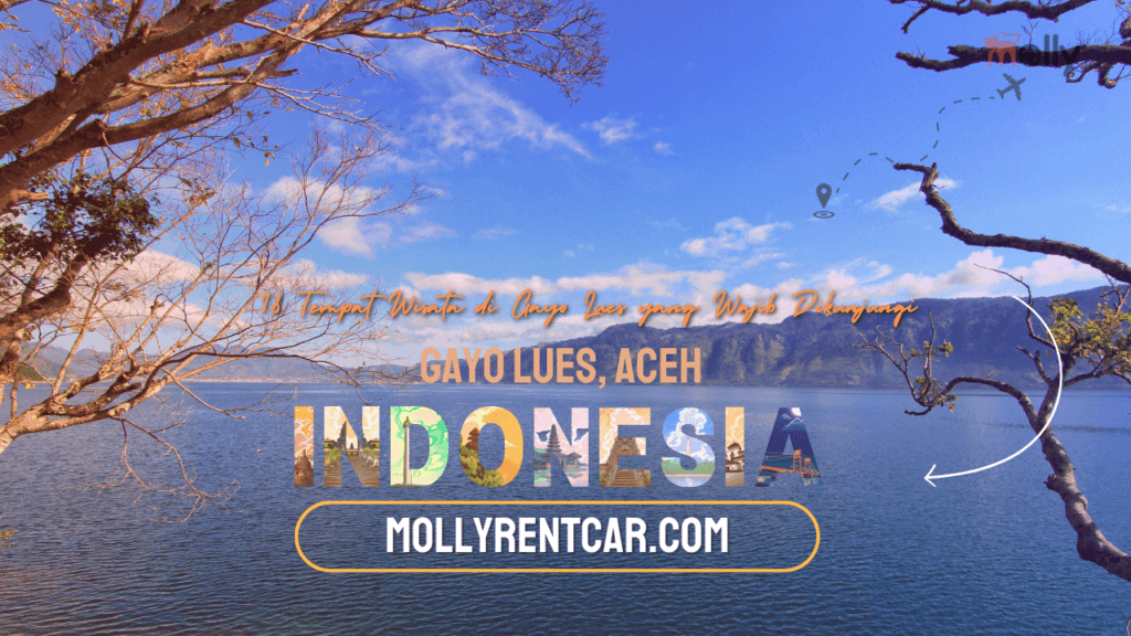 Tempat Wisata di Gayo Lues yang Wajib Dikunjungi 1 | Molly Wisata 2025 18 Tempat Wisata di Gayo Lues yang Wajib Dikunjungi