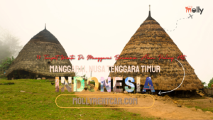 10 Tempat Wisata Di Manggarai Bernuansa Alam Paling Hits