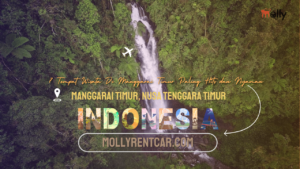 Tempat Wisata di Manggarai Timur | Molly Wisata 2024