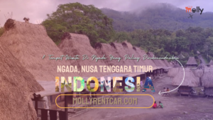 Tempat Wisata di Ngada | Molly Wisata 2024