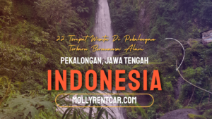 Tempat Wisata di Pekalongan | Molly Wisata 2024