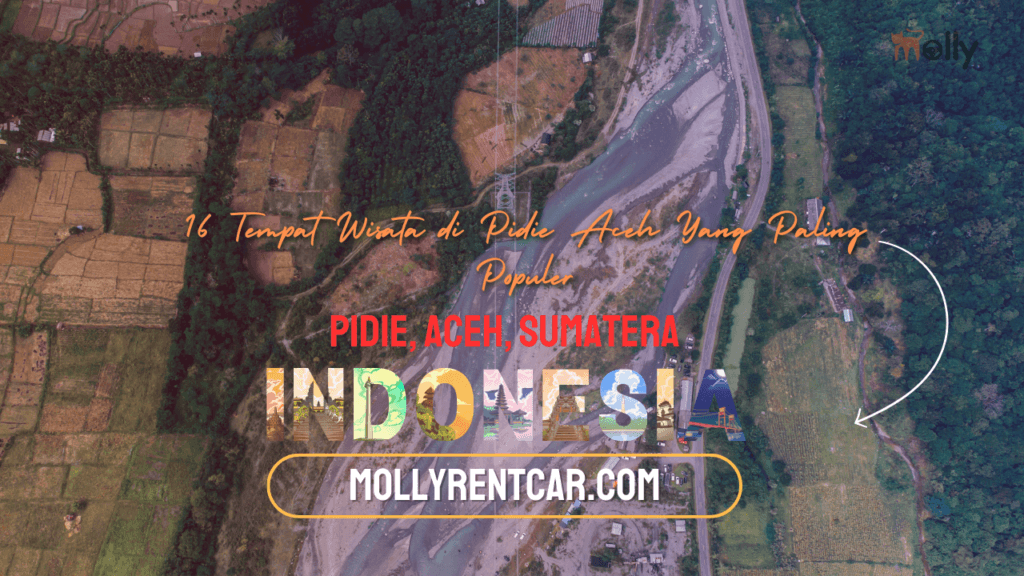 Tempat Wisata di Pidie Aceh Yang Paling Populer 1 | Molly Wisata 2025 16 Tempat Wisata di Pidie Aceh Yang Paling Populer
