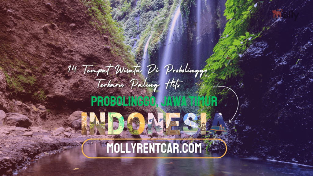 Tempat Wisata di Probolinggo | Molly Wisata 2025