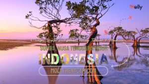 Tempat Wisata di Sumba | Molly Wisata 2024