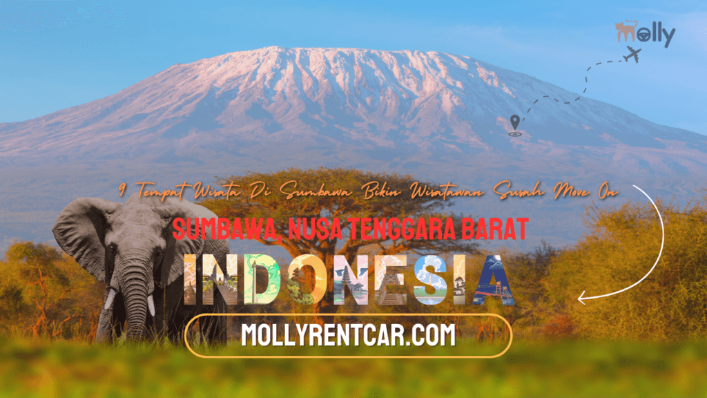 Tempat Wisata di Sumbawa | Molly Wisata 2025