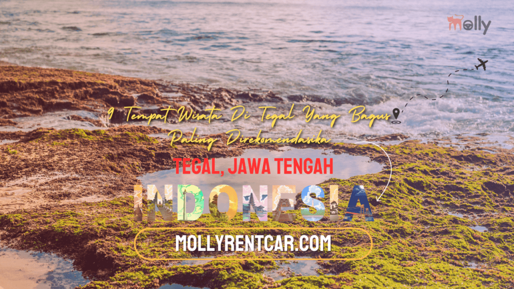 Tempat Wisata Di Tegal Yang Bagus Paling Direkomendasikan 1 | Molly Wisata 2025 9 Tempat Wisata Di Tegal Yang Bagus Paling Direkomendasikan