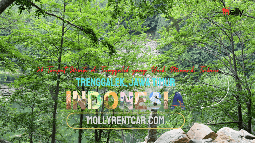 Tempat Wisata di Trenggalek yang Unik, Menarik, Terbaru 1 | Molly Wisata 2025 20 Tempat Wisata di Trenggalek yang Unik, Menarik, Terbaru