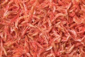 Udang Kering Khas Tarakan