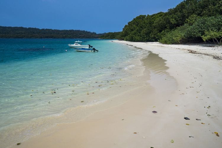 Tempat Wisata di Pulau Jawa yang Sangat Populer 2 | Molly Wisata 2025 Ujung Kulon