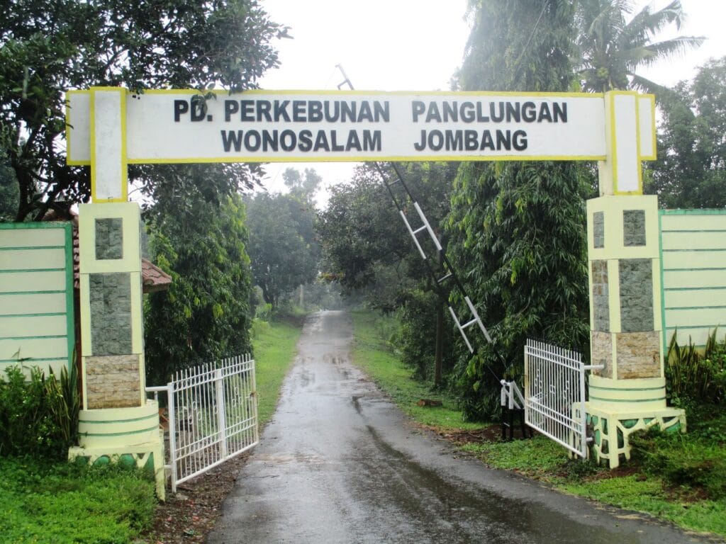 Wana Wisata Panglungan