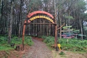 Tempat Wisata Di Pekalongan Terbaru Bernuansa Alam 9 | Molly Wisata 2025 Wisata Alam Curug Bidadari Talun