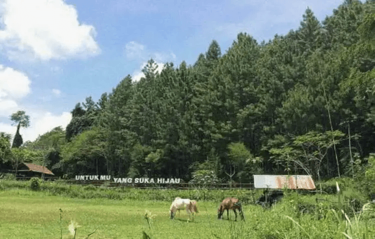 Wisata Alam Pangjugjugan