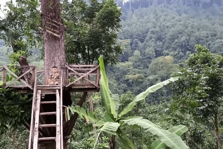 Wisata Alam Pesanggrahan Madiun