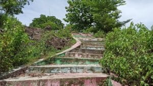 Wisata Alam Taruwongso