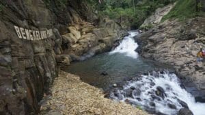 Tempat Wisata Di Pekalongan Terbaru Bernuansa Alam 20 | Molly Wisata 2025 Wisata Bengkelung Park Doro Pekalongan