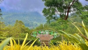 Tempat Wisata di Sragen Bertema Alam Hingga Sejarah 15 | Molly Wisata 2025 Wisata Gunung Banyak | Molly Wisata 2025