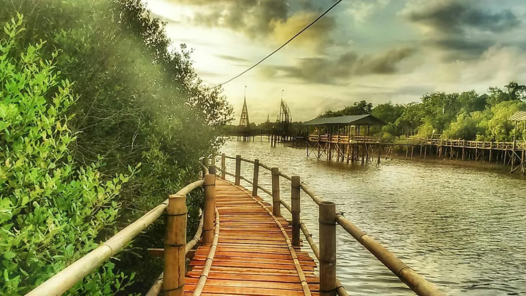 Wisata Hutan Mangrove Wana Tirta