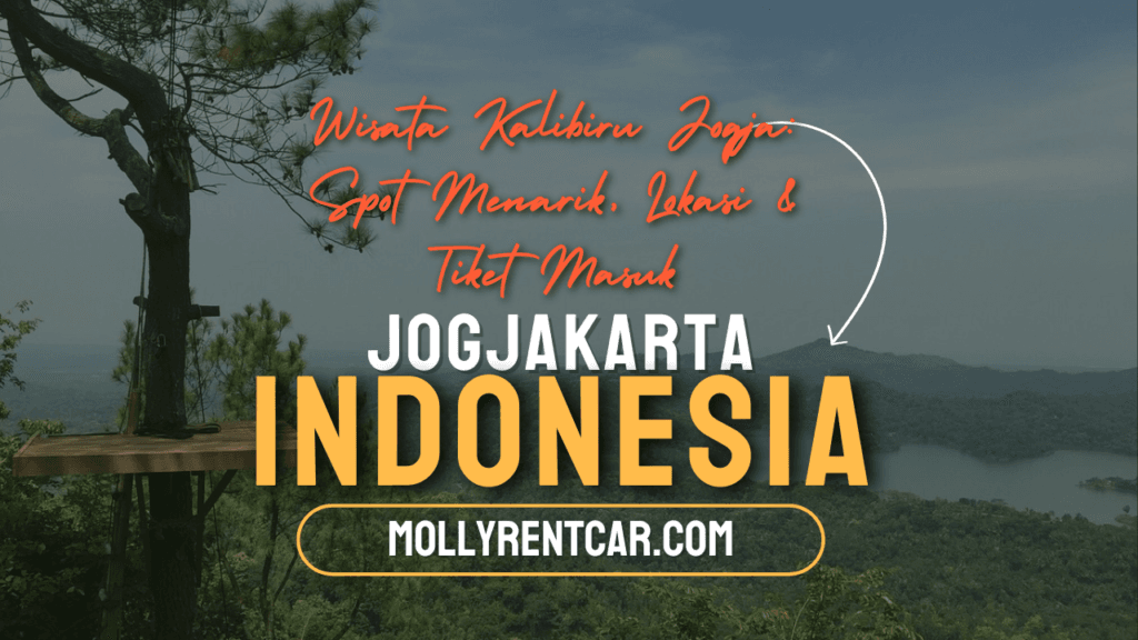 Wisata Kalibiru Jogja | Molly Wisata 2025