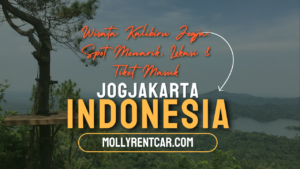 Wisata Kalibiru Jogja | Molly Wisata 2024