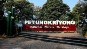 Tempat Wisata Di Pekalongan Terbaru Bernuansa Alam 16 | Molly Wisata 2025 Wisata Rogojembangan Petungkriyono Pekalongan