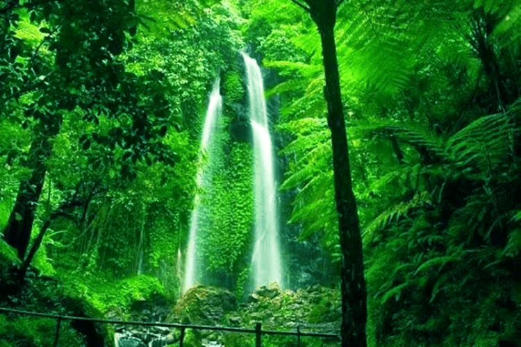 Tempat Wisata Di Karanganyar Paling Hits Dikunjungi 5 | Molly Wisata 2025 air terjun pringgodani