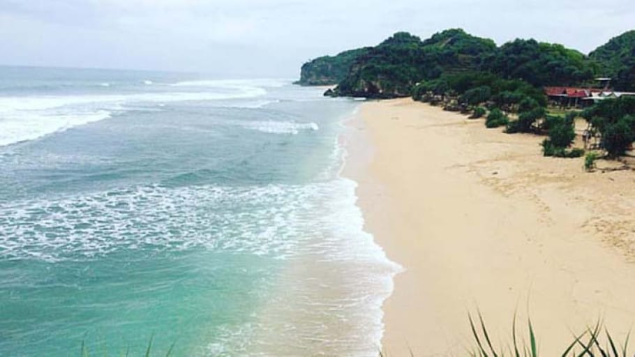 Pantai Watu Kodok: Tiket Masuk & Spot Foto Keren 3 | Molly Wisata 2025 pemandangan pantai watu kodok