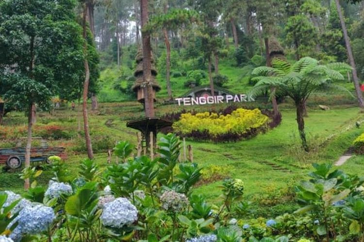Tempat Wisata Di Karanganyar Paling Hits Dikunjungi 8 | Molly Wisata 2025 tenggir park