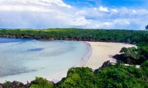 Aru Island
