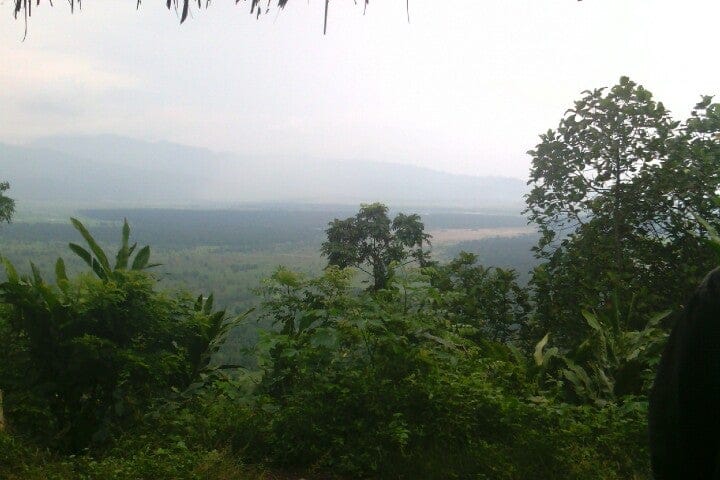 Cagar Alam Gunung Tukung Gede