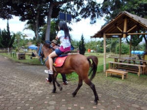 De Ranch | Molly Wisata 2025