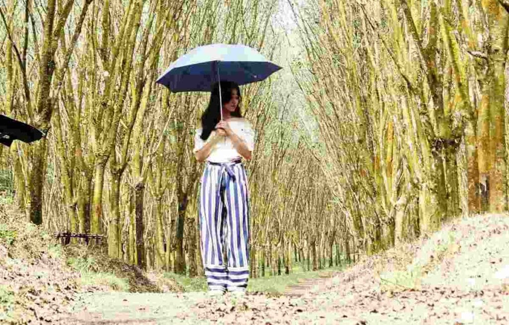 Tempat Wisata di Pandeglang Banten yang Wajib Dikunjungi 12 | Molly Wisata 2025 Kadujangkung