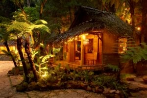 Kampung Daun | Molly Wisata 2025