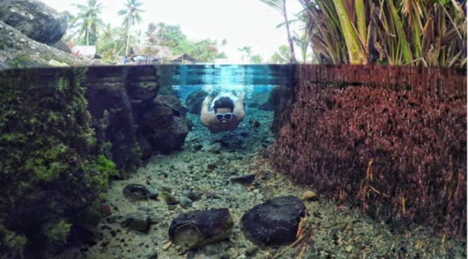 Tempat Wisata di Pandeglang Banten yang Wajib Dikunjungi 19 | Molly Wisata 2025 Mata Air Citaman