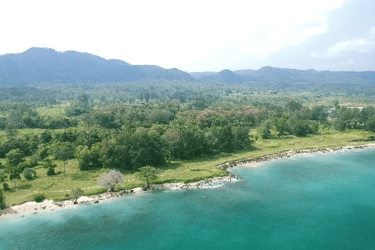 Tempat Wisata di Pandeglang Banten yang Wajib Dikunjungi 9 | Molly Wisata 2025 Pantai Bugel Mega Cemara