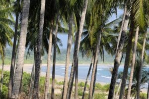 Pantai Toyolawa